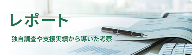 レポート 独自調査や支援実績から導いた考察